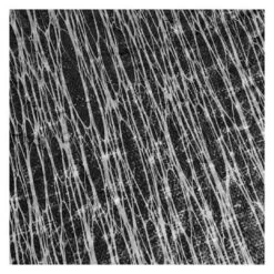 Micro Mesh 16' X 32' Oval Winter Pool Cover With 50 Cover Clips 9 Micro Mesh 16' X 32' Oval Winter Pool Cover With 50 Cover Clips -Professional Pool Care Shop Micro Mesh Winter Pool Cover 16x32 ft Oval 3