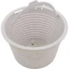 CMP - Skimmer Basket Generic Replacement For B-9, Hayward SP1070 -Professional Pool Care Shop Skimmer Basket Generic Replacement for B 9 Hayward SP1070